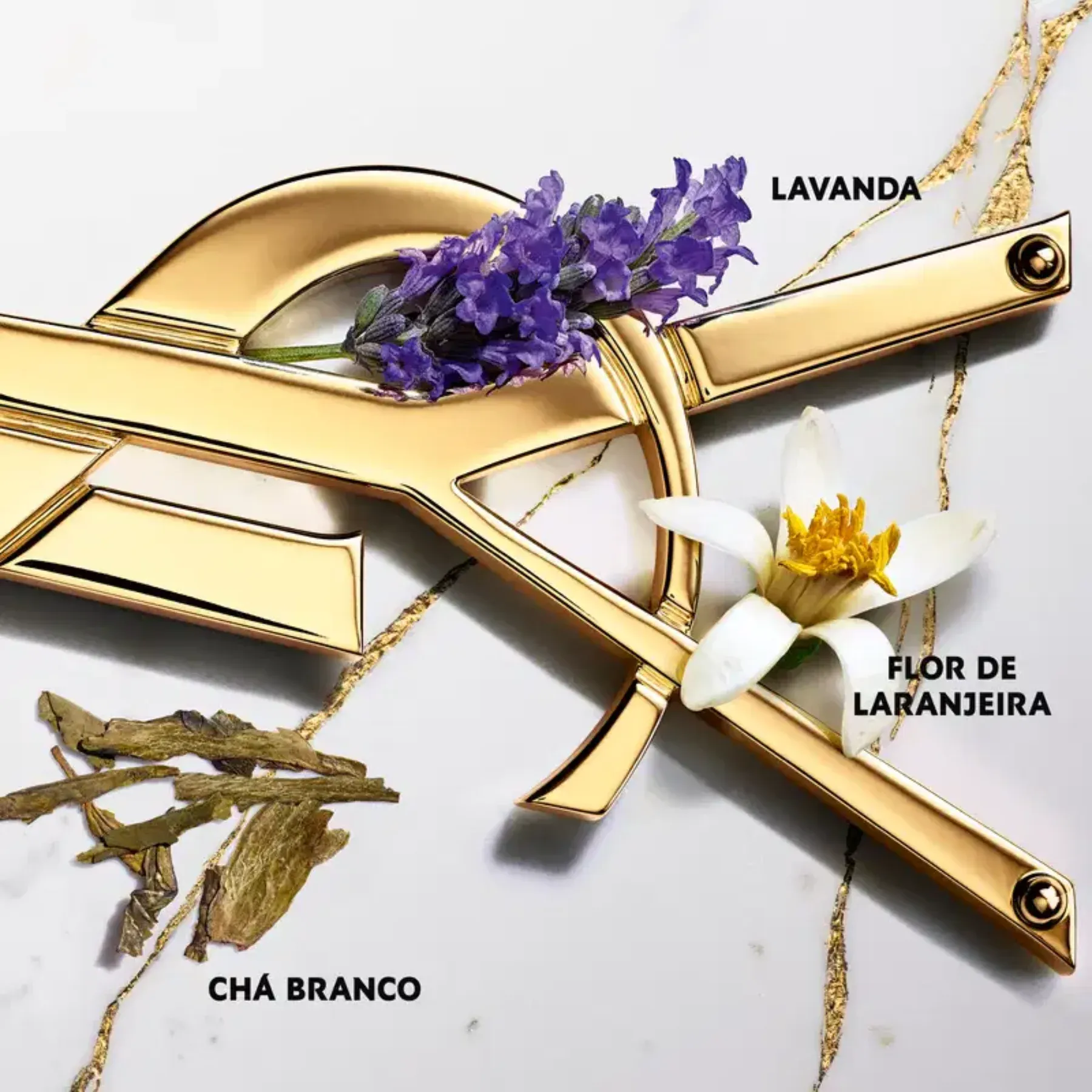 LIBRE EDT